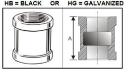 Pannext Fittings Couplings (300lbs)