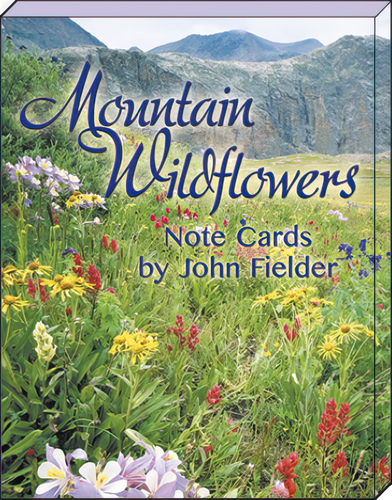Leanin' Tree Mountain Wildflowers By John Fielder