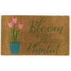 Avera Products Bloom Where Your Are Planted Coir Doormat