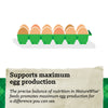 NatureWise® 20% Protein Feather Fixer Pellet Poultry Feed