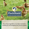 NatureWise® 17% Protein Layer Pellet Poultry Feed