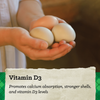 NatureWise® 17% Protein Layer Pellet Poultry Feed