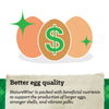 NatureWise® 17% Protein Layer Pellet Poultry Feed