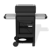 Weber Spirit® E-210 Gas Grill (Liquid Propane)