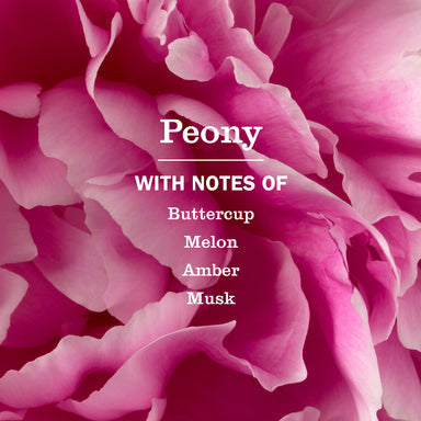 Mrs. Meyer's Peony Dish Soap