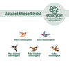 Nature's Way EcoCycle™ Garden Globe Handblown Recycled Glass Hummingbird Feeder
