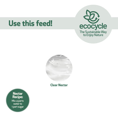 Nature's Way EcoCycle™ Garden Globe Handblown Recycled Glass Hummingbird Feeder