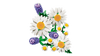 Lego Botanicals Daisies