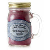 Mason Jar Candle, Black Raspberry Vanilla, 13-oz.