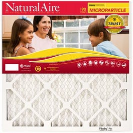 Microparticle Pleated Furnace Filter, 20x30x1- In.