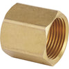 Best Garden 3/4 In. FNH x 3/4 In FNPT Brass Non-Swivel Hose Connector