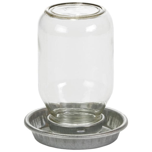 LITTLE GIANT MASON JAR BABY CHICK WATERER W/ JAR (1 QT, CLEAR)