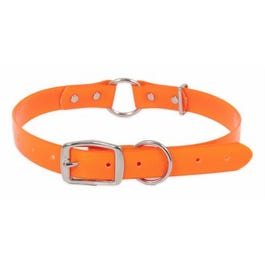 Dog Collar, Orange, 1 x 14-22-In.