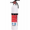 Fire Extinguisher, 5-Lbs., 10-B:C