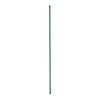 Plant Stake, Plastic Coated Steel, 5-Ft.