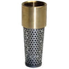 Foot Valve, Brass, 1-In.