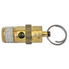 1/4-Inch Compressor Safety Valve