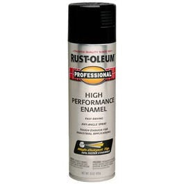 Fast Dry Professional Spray Enamel, Black Gloss, 15-oz.