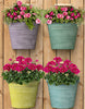 WALL PLANTER HALF BUCKET MILK PAINT ASST