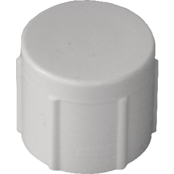 Charlotte Pipe 1/2 In. FIP Schedule 40 Threaded PVC Cap