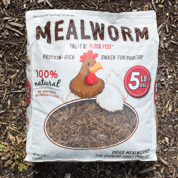 Buffalo Tools 5 Lb Bag Dried Mealworms for Chickens, Wild Birds, Ducks (5 Lbs)
